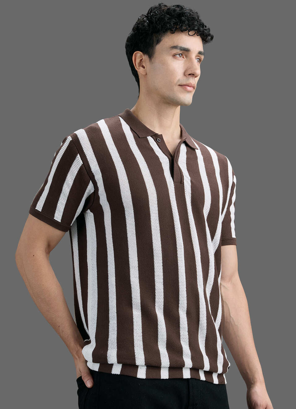 Men Brown Striped Flat Knit Polo Collar T-shirt, , large image number 7