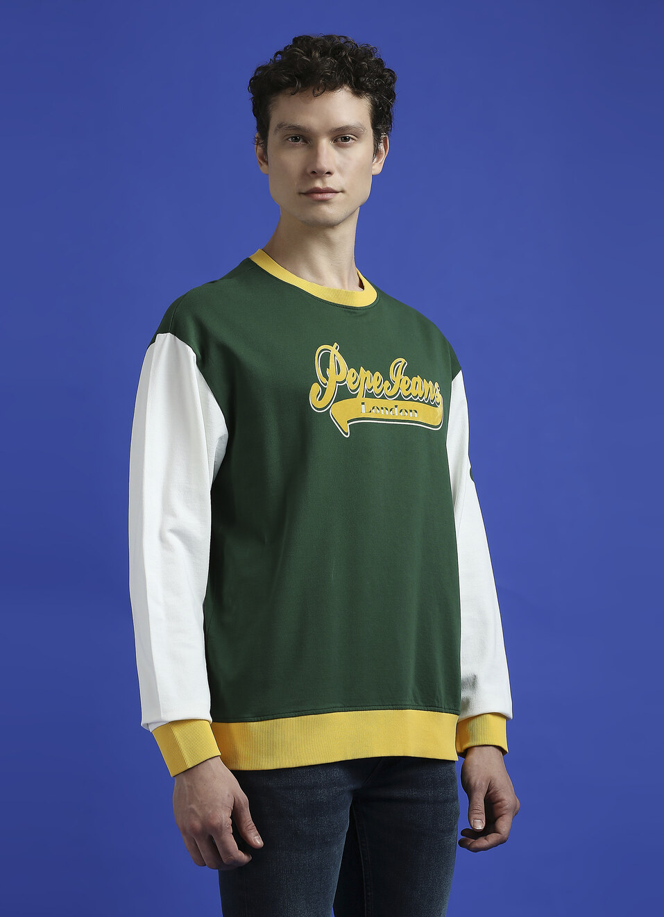 Green Flock Print Full Sleeve Oversized Sweatshirt, , large image number 3