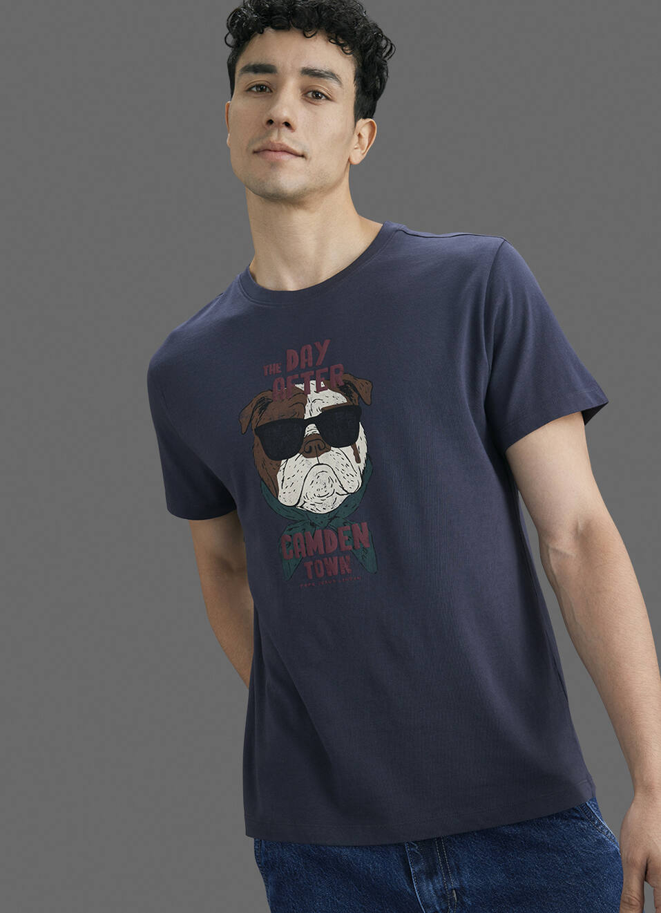 Men Grey Printed Relaxed Fit Short Sleeve T-shirt, , large image number 0