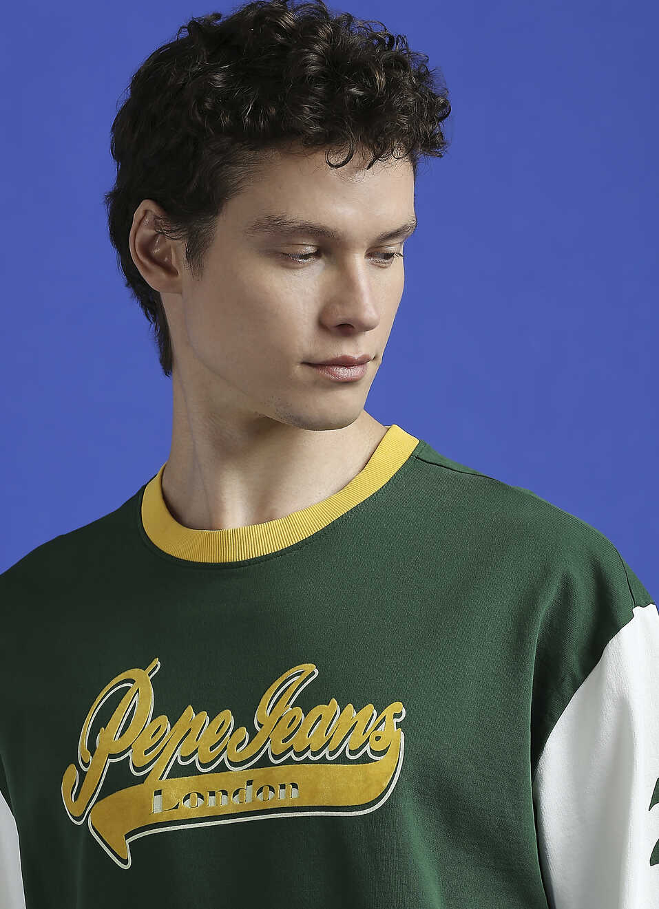 Green Flock Print Full Sleeve Oversized Sweatshirt, , large image number 4