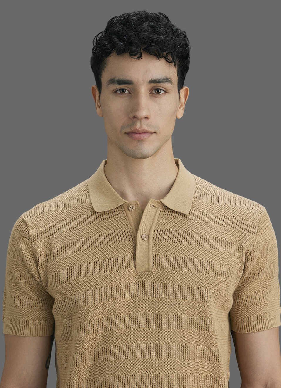Men Beige Striped Flat Knit Polo Collar T-shirt, , large image number 4