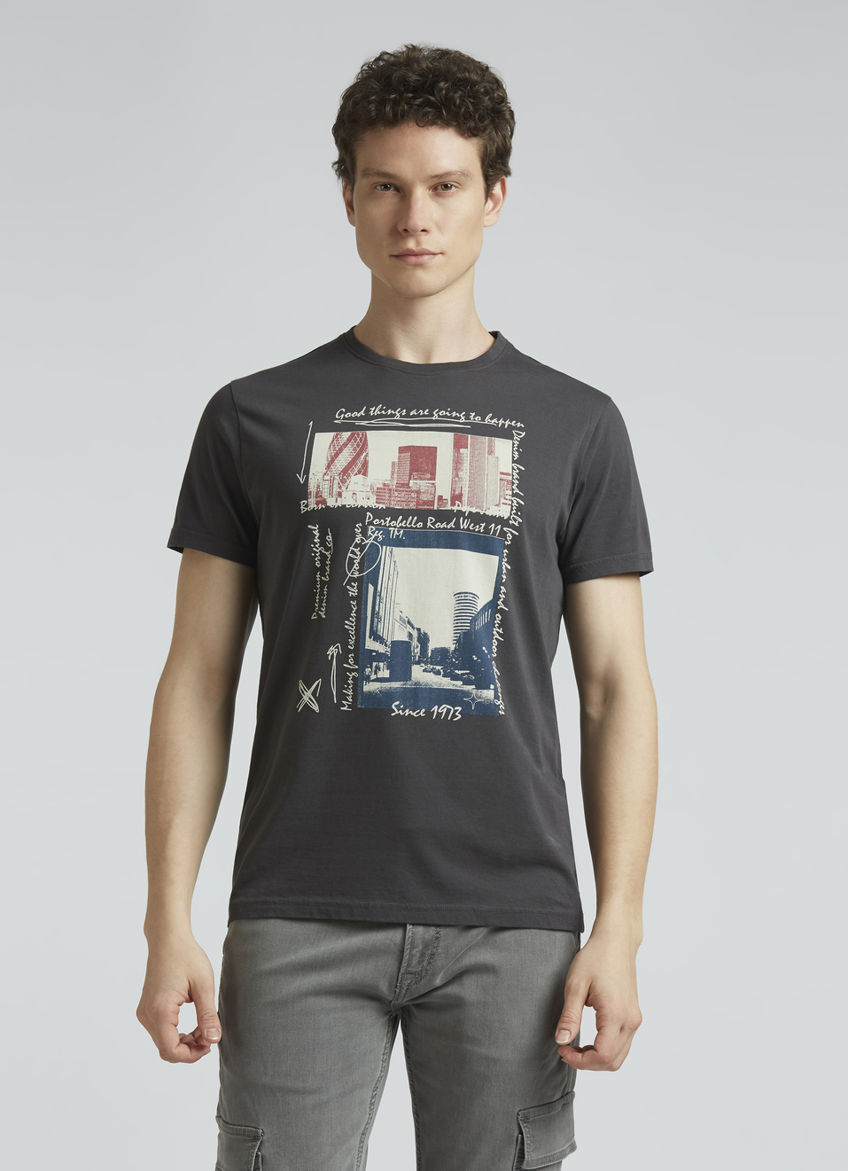 Grey Graphic Print Short Sleeve T-shirt, , large image number 1