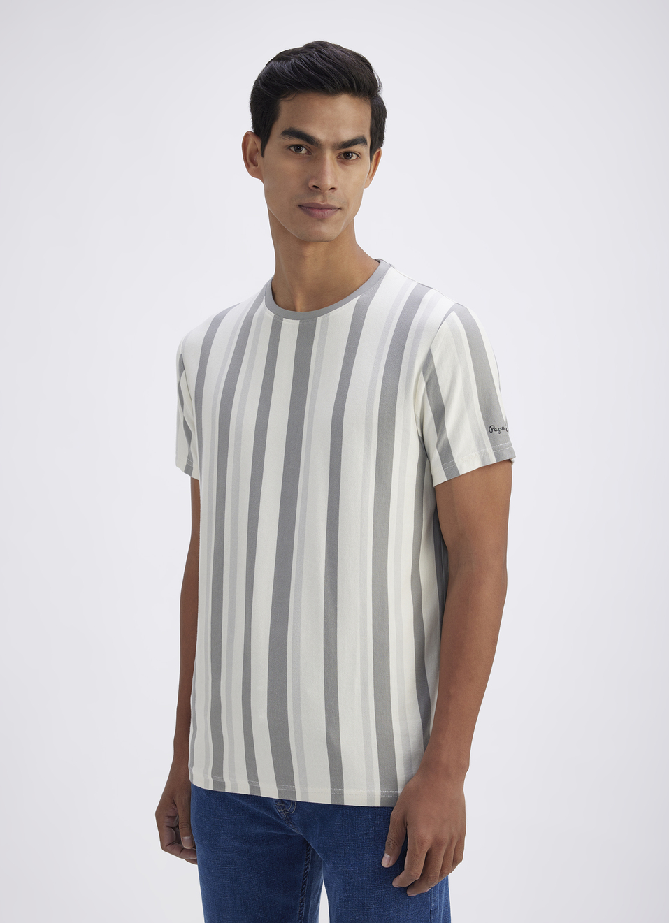 Men Grey Vertical Stripe Short Sleeve T-shirt, , large image number 3