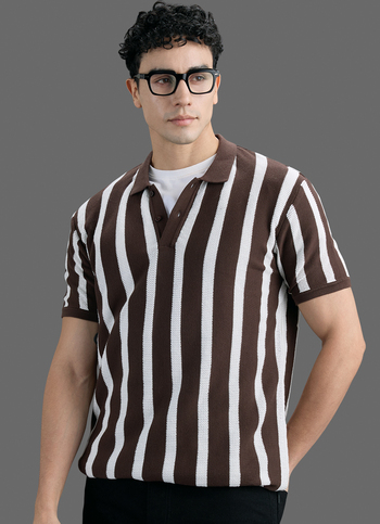 Men Brown Striped Flat Knit Polo Collar T-shirt