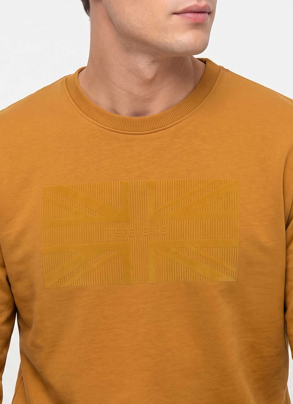 Men Brown Placement Print Full Sleeve Sweatshirt, , large image number 4