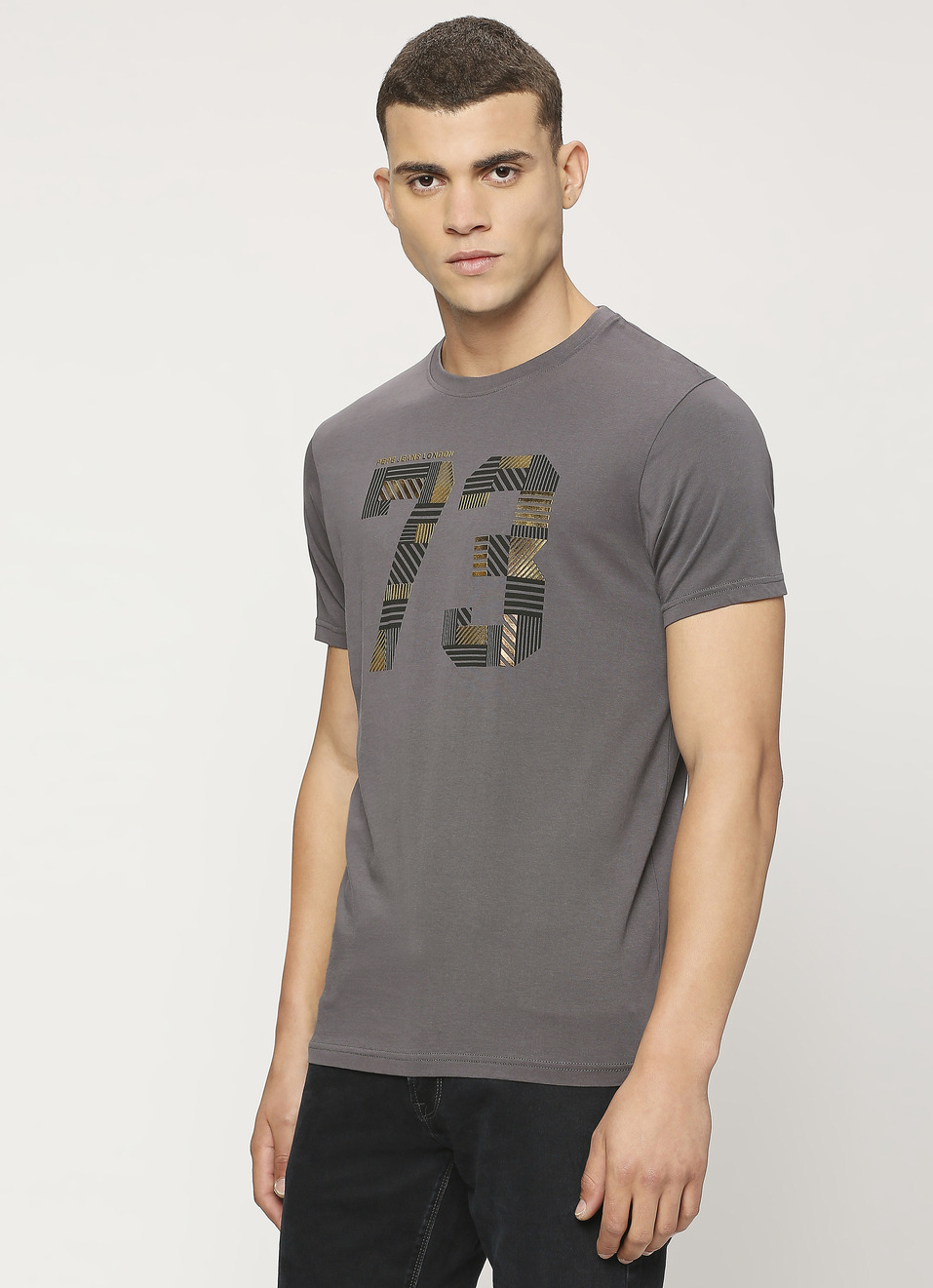 Grey Graphic Print Short Sleeve T-shirt, , large image number 3