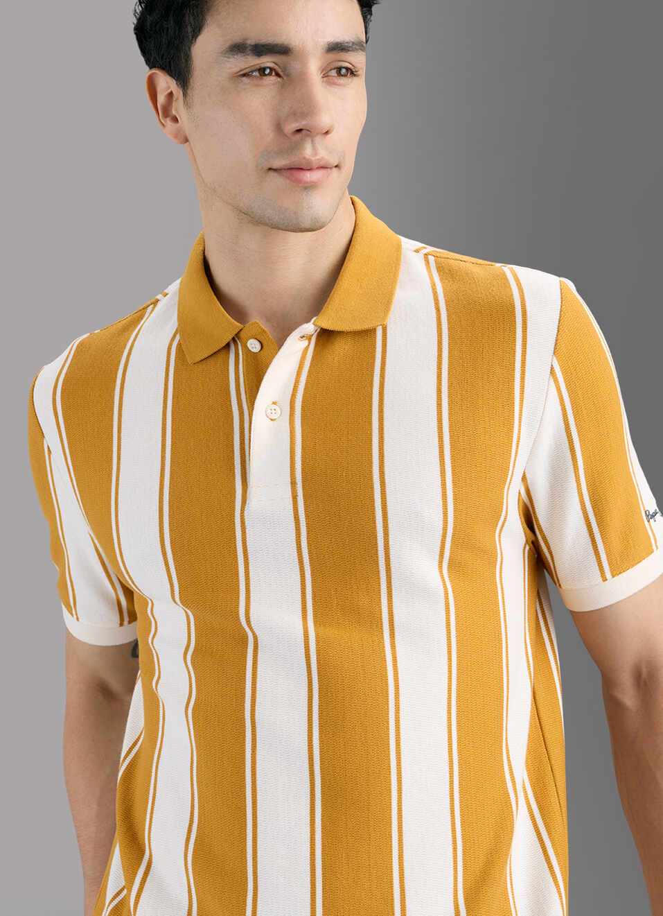Men Brown Striped Polo T-shirt, , large image number 4