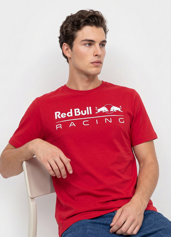Men Red Placement Print Crew Neck T-shirt