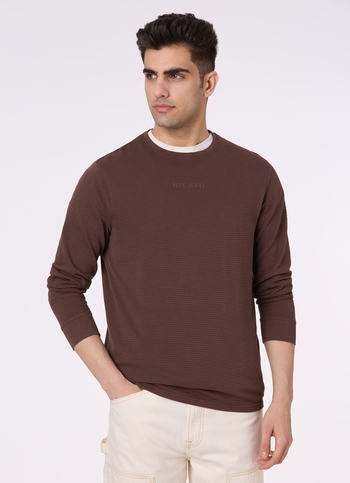 Men Brown Crew Neck Full Sleeve T-shirt