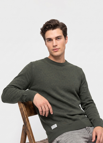 Men Green Solid Regular Fit Crew Neck Sweater