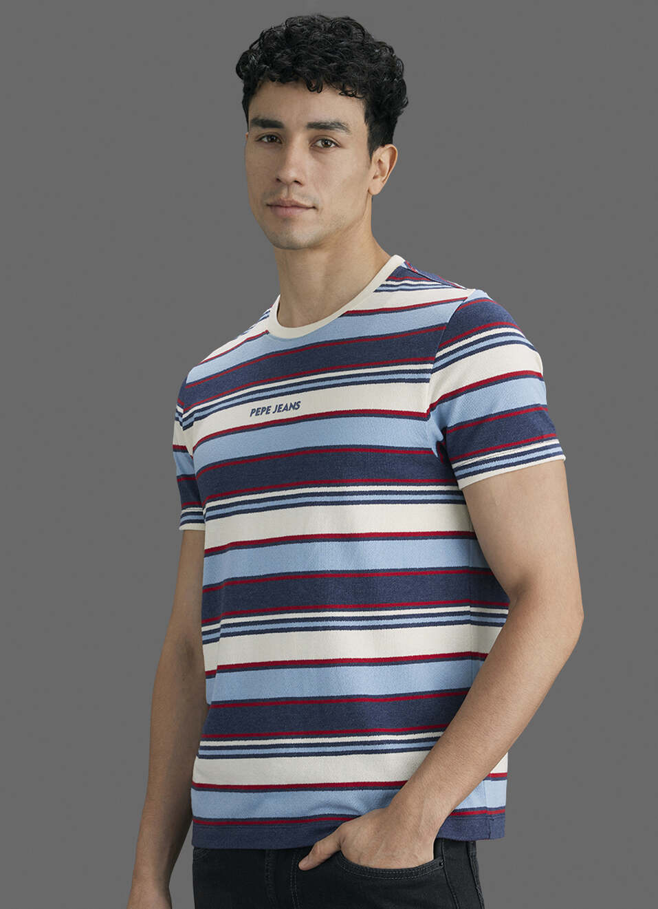 Men Navy Striped Slim Fit Short Sleeve T-shirt, , large image number 7
