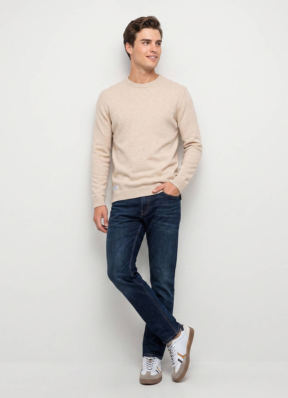 Men Beige Solid Regular Fit Crew Neck Sweater, , large image number 5
