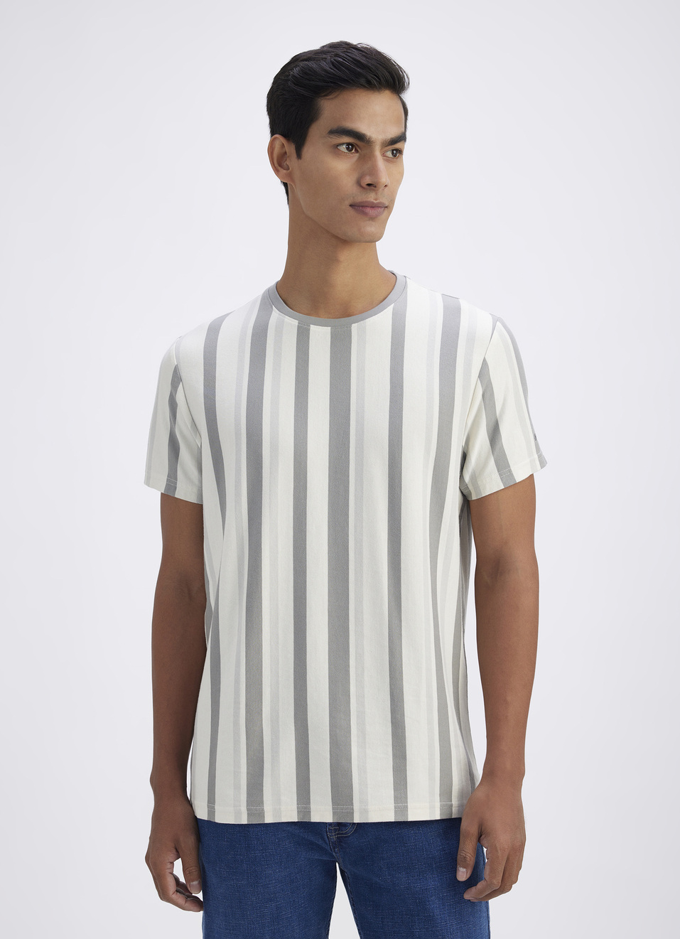 Men Grey Vertical Stripe Short Sleeve T-shirt, , large image number 1