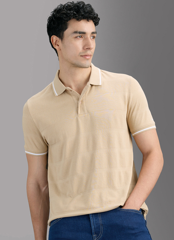 Men Beige Striped Polo T-shirt