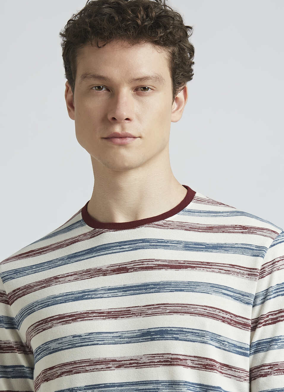 Burgundy Stripes Full Sleeve T-shirt, , large image number 4