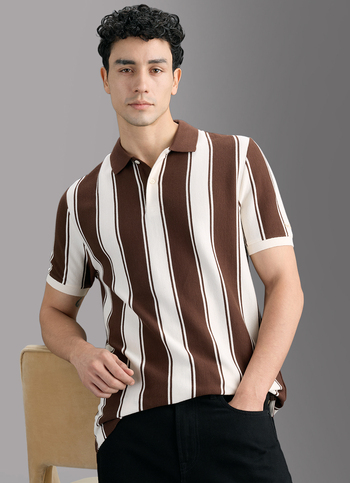 Men Brown Striped Polo T-shirt