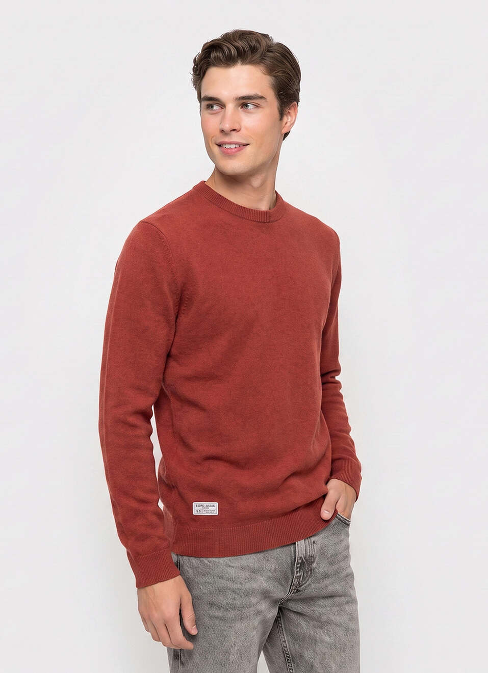 Men Orange Solid Regular Fit Crew Neck Sweater, , large image number 3