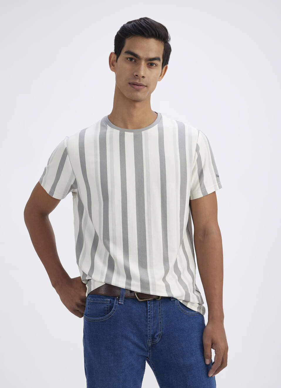 Men Grey Vertical Stripe Short Sleeve T-shirt, , large image number 0