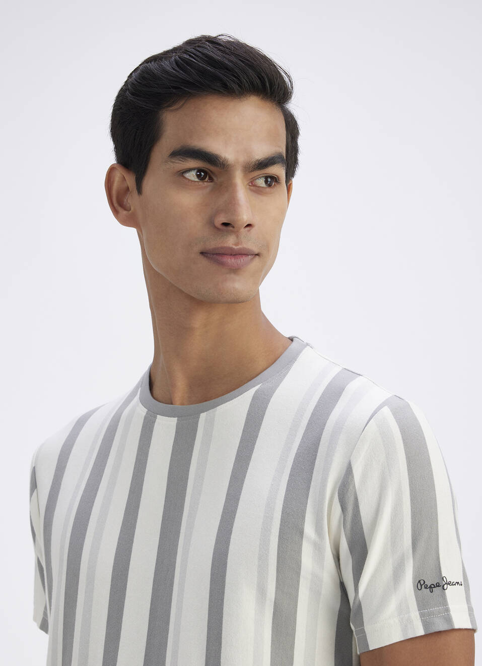 Men Grey Vertical Stripe Short Sleeve T-shirt, , large image number 4