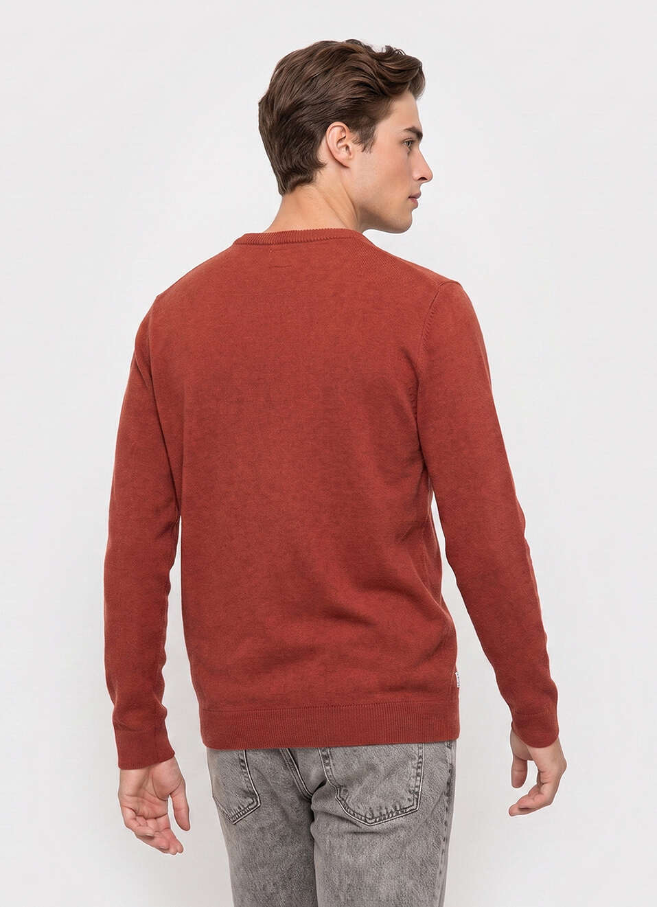 Men Orange Solid Regular Fit Crew Neck Sweater, , large image number 2