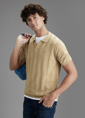 Men Beige Regular Fit Short Sleeve Textured Knitted Polo