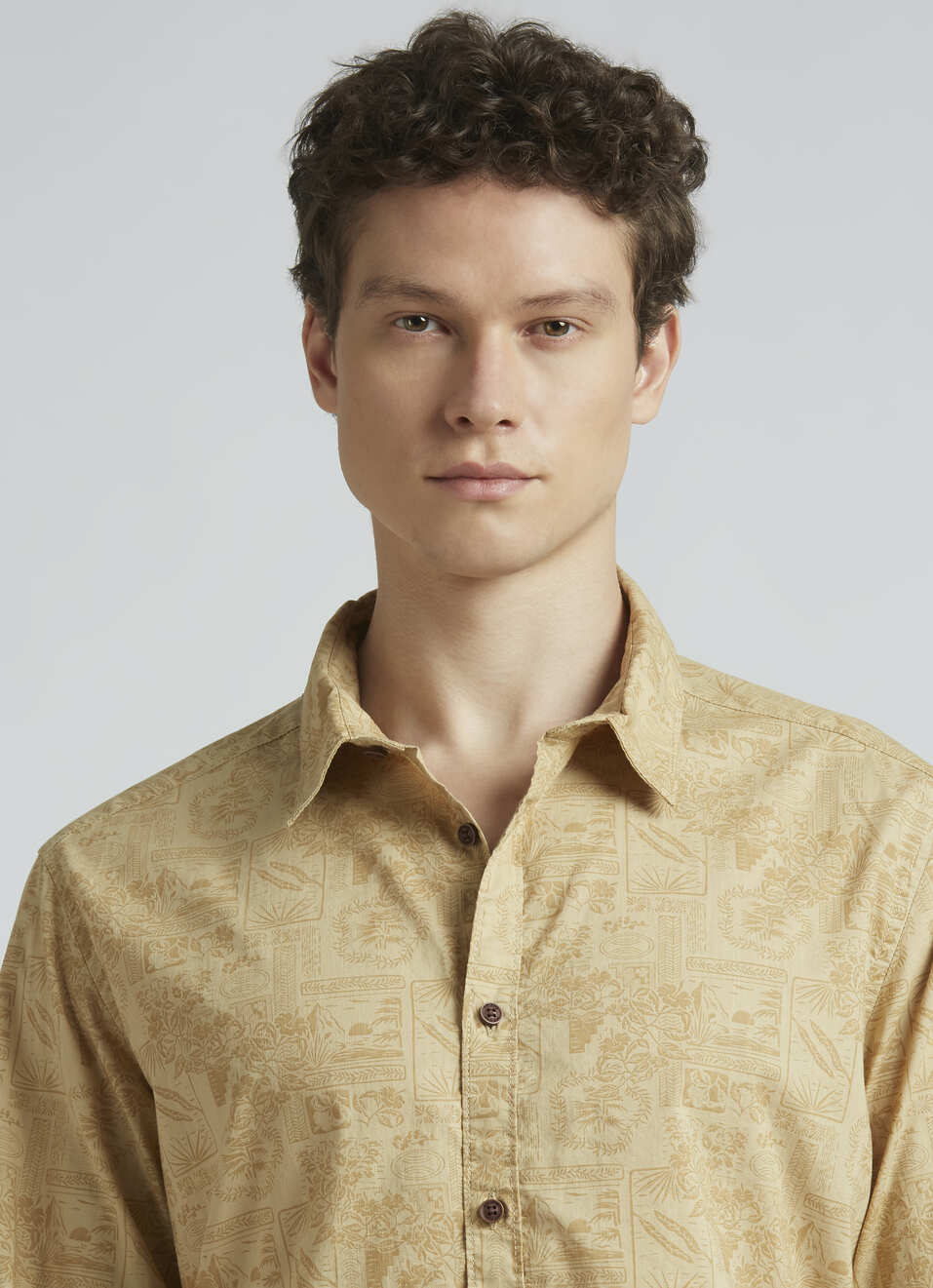 Olive Botanical Print Full Sleeve Shirt, , large image number 4