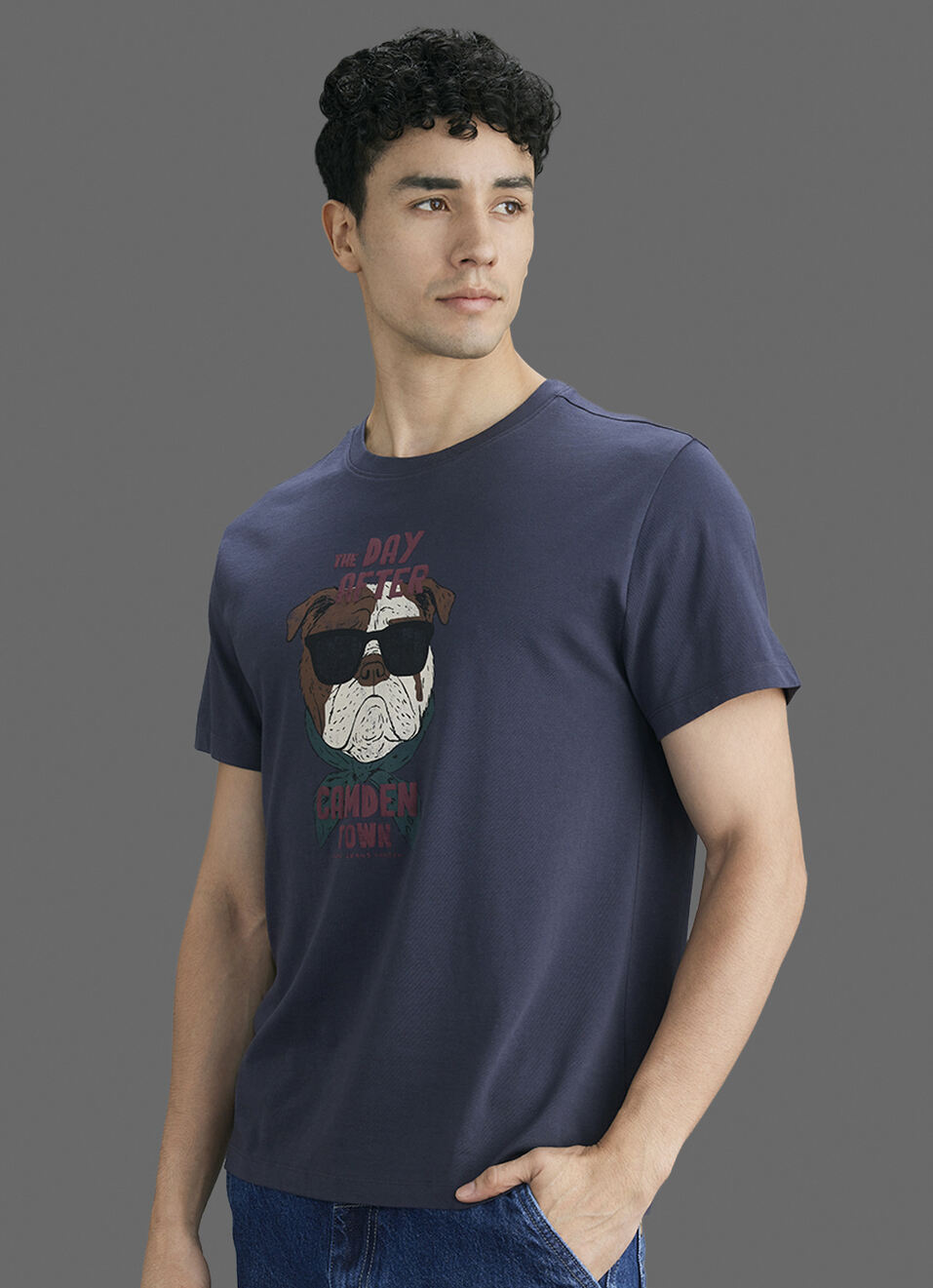 Men Grey Printed Relaxed Fit Short Sleeve T-shirt, , large image number 7