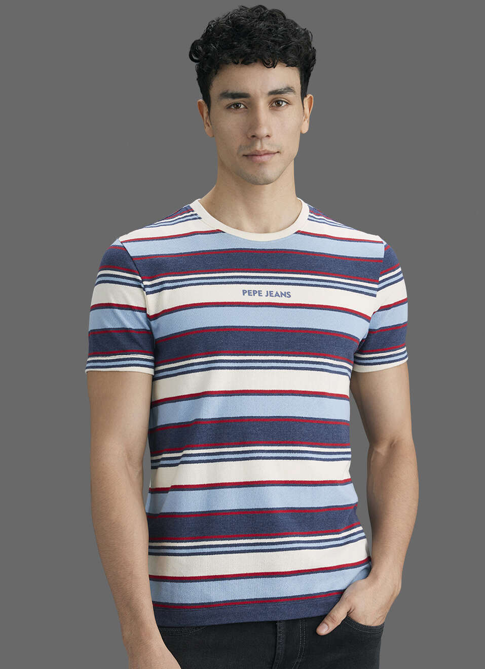 Men Navy Striped Slim Fit Short Sleeve T-shirt, , large image number 5