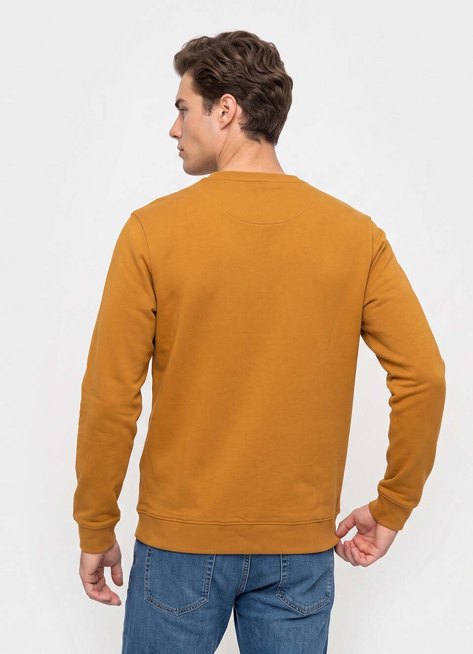 Men Brown Placement Print Full Sleeve Sweatshirt, , large image number 2