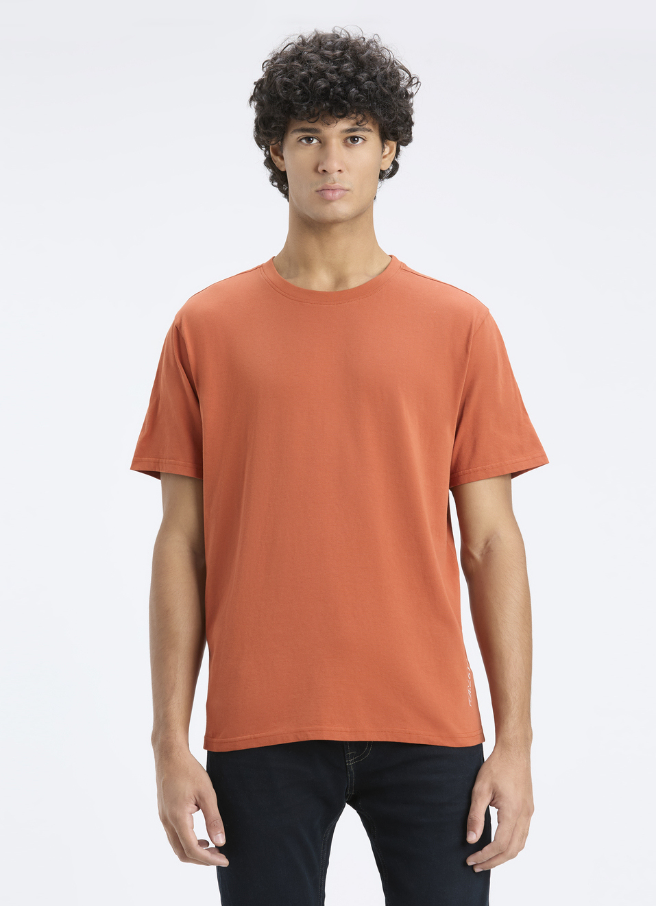 Men Nut Brown Back Print Relaxed Fit Short Sleeve T-shirt, , large image number 1