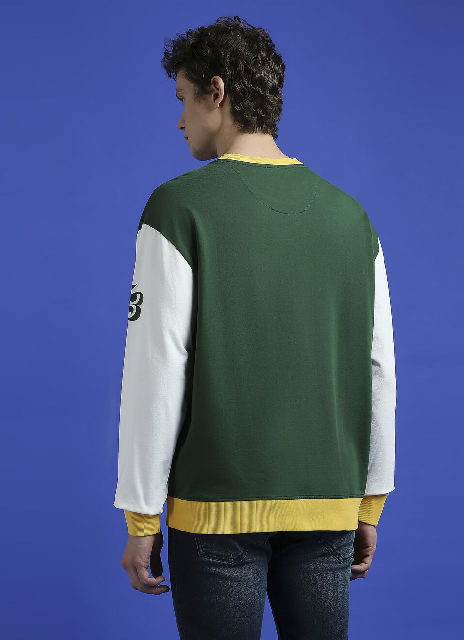 Green Flock Print Full Sleeve Oversized Sweatshirt, , large image number 2