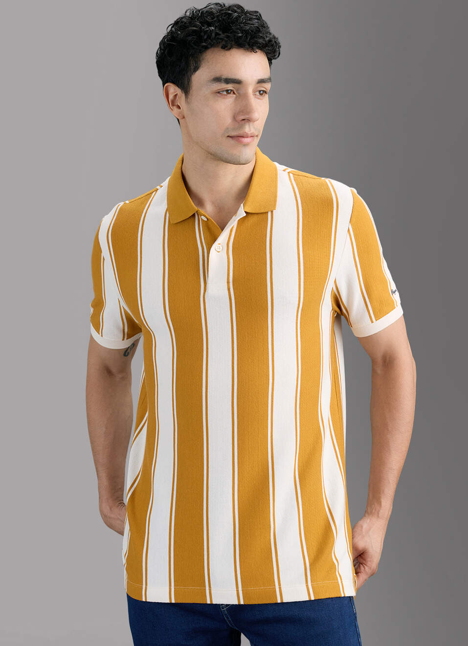 Men Brown Striped Polo T-shirt, , large image number 5