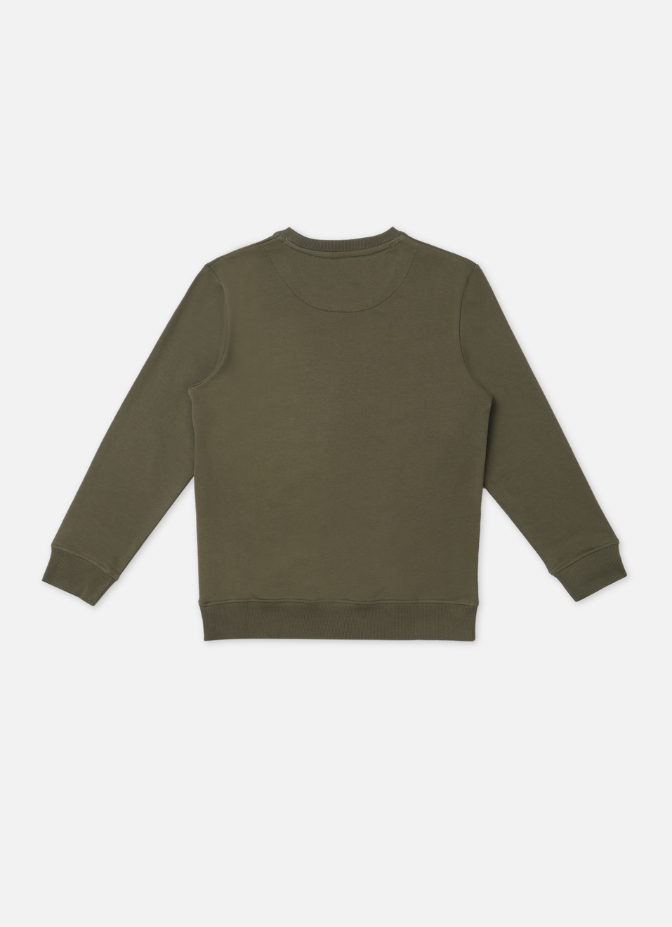 Boys Green Full Sleeve Sweatshirt, , large image number 1