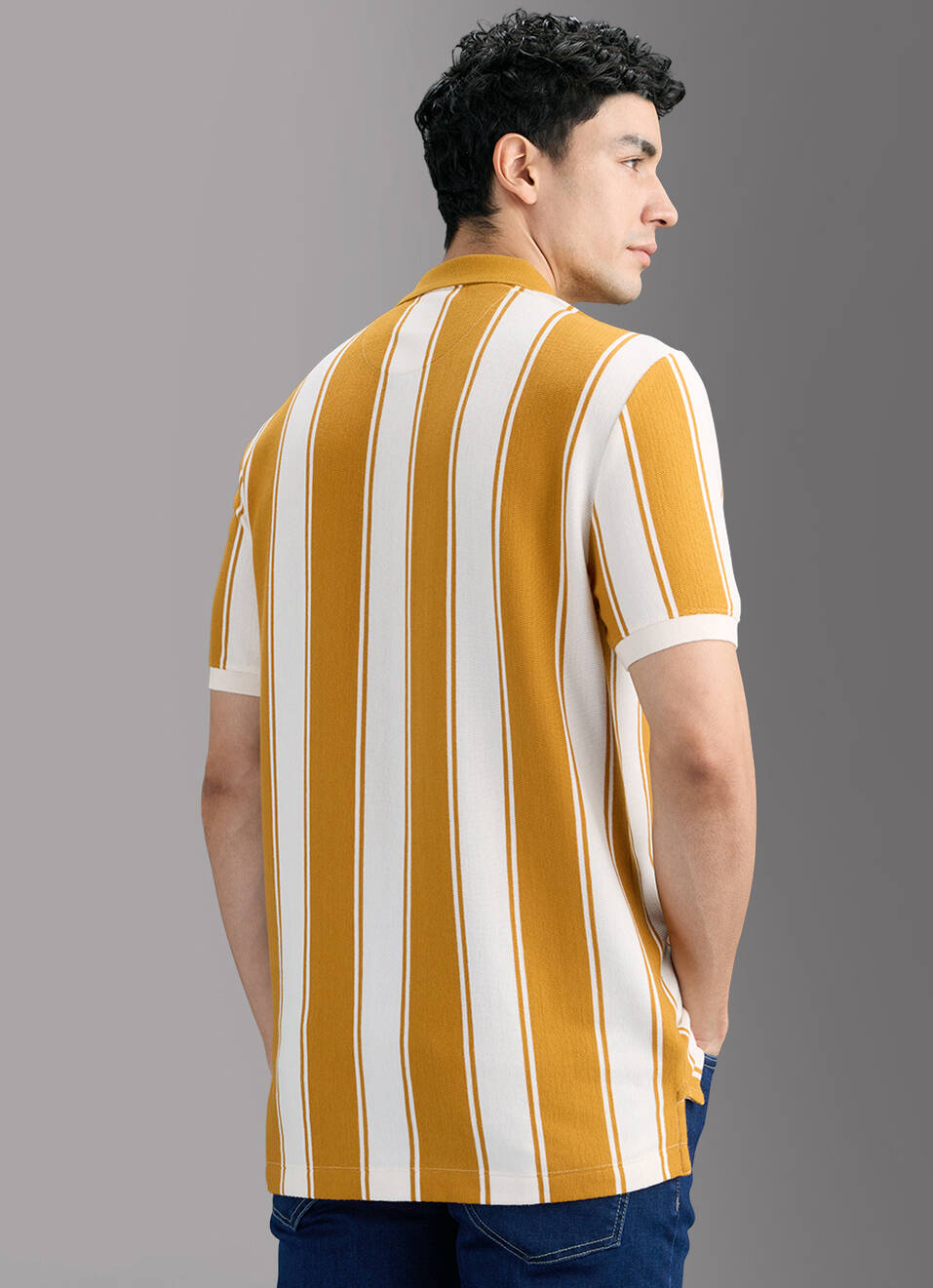 Men Brown Striped Polo T-shirt, , large image number 6