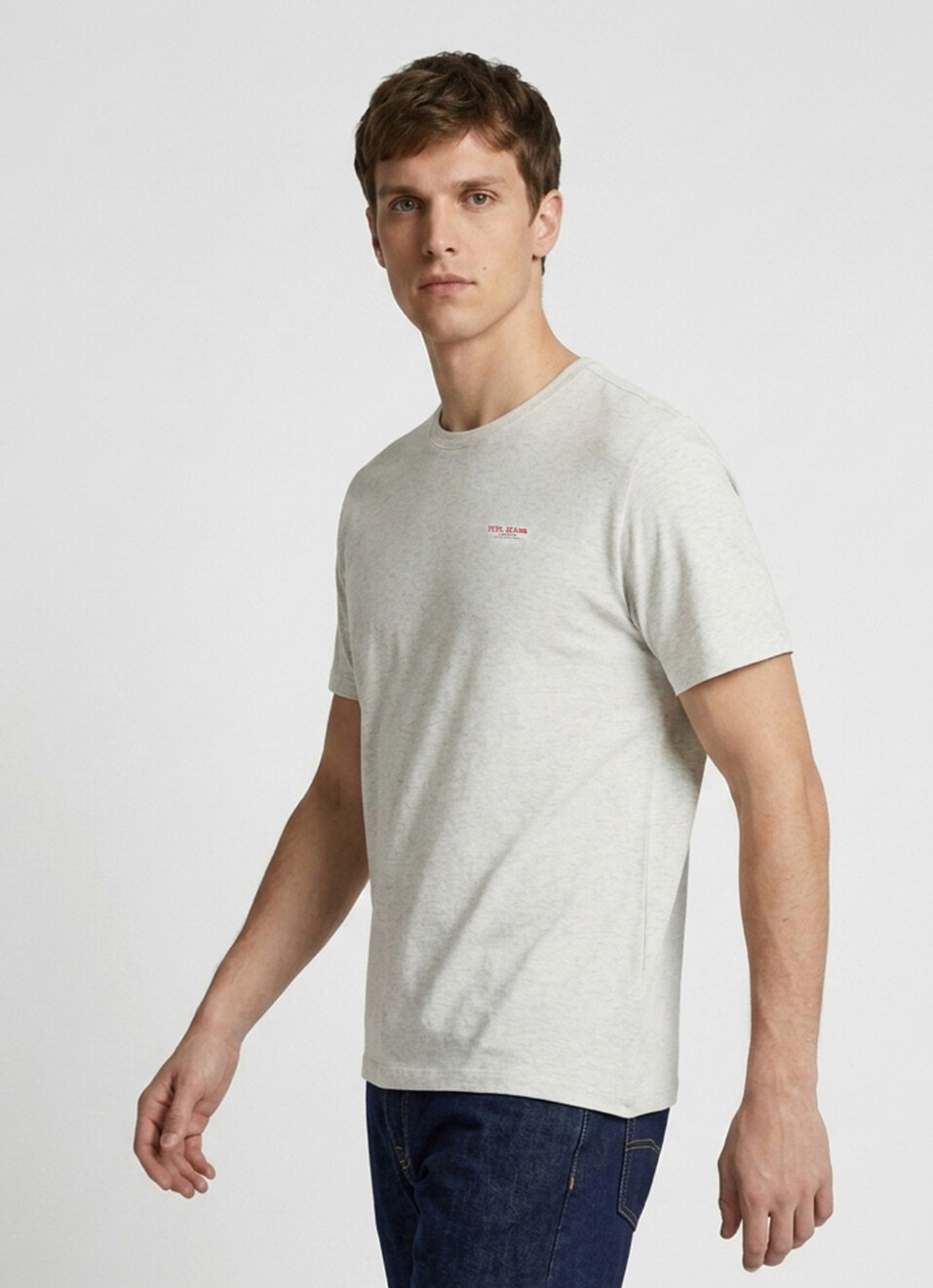 Men Grey Printed Relaxed Fit Short Sleeve T-shirt, , large image number 3