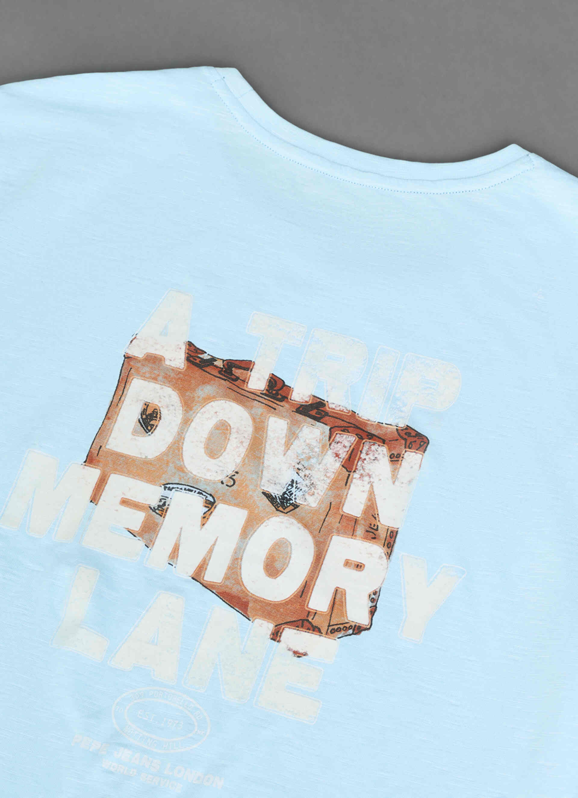 Men Sky Blue Relaxed Fit Short Sleeve Graphic T-shirt, , large image number 8