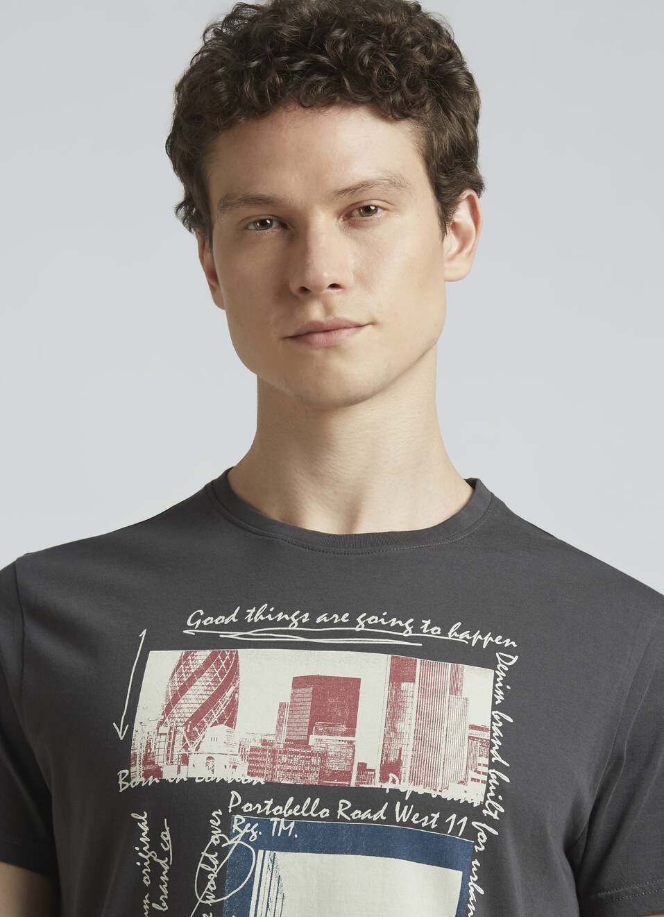 Grey Graphic Print Short Sleeve T-shirt, , large image number 4