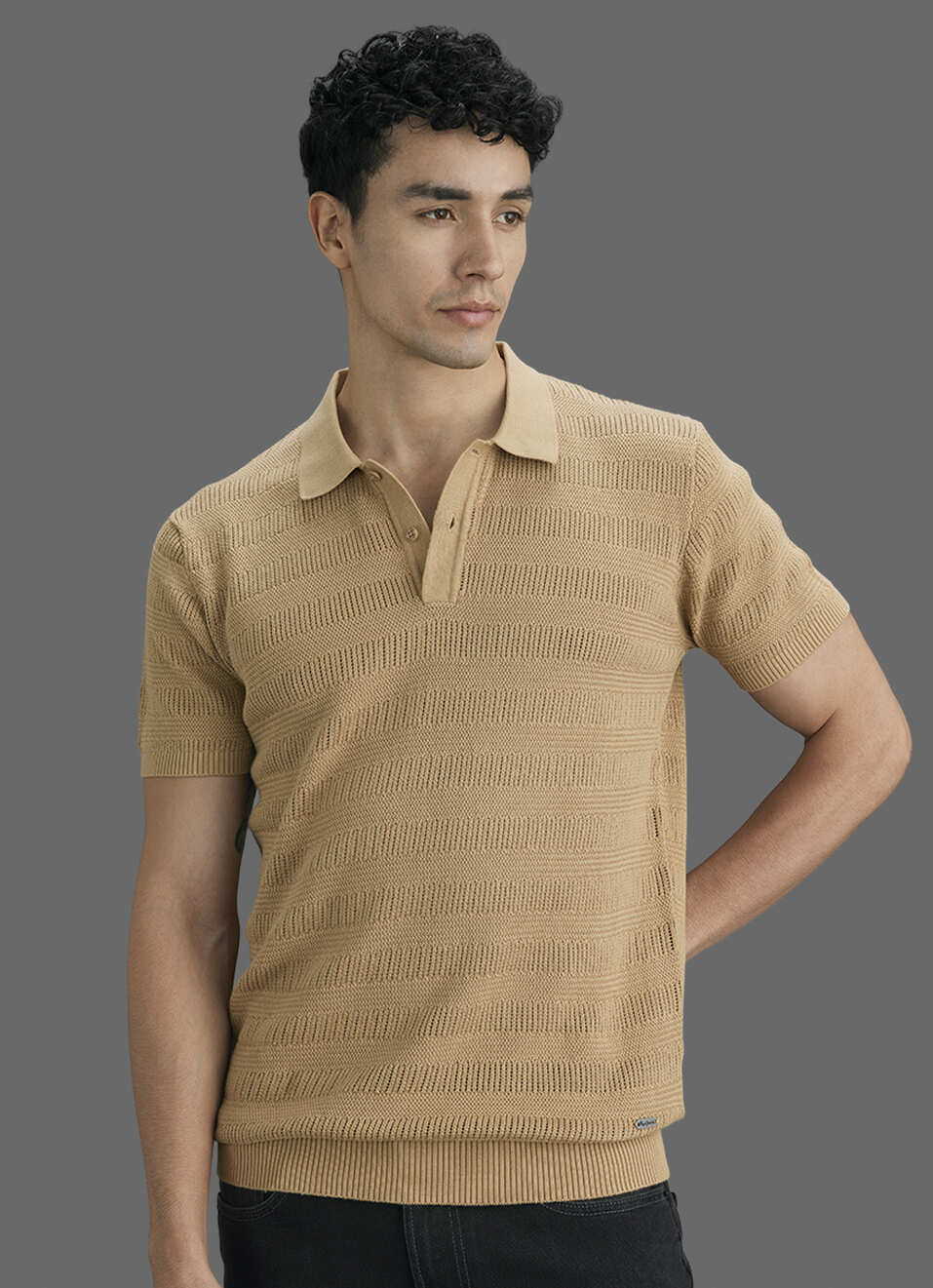 Men Beige Striped Flat Knit Polo Collar T-shirt, , large image number 5
