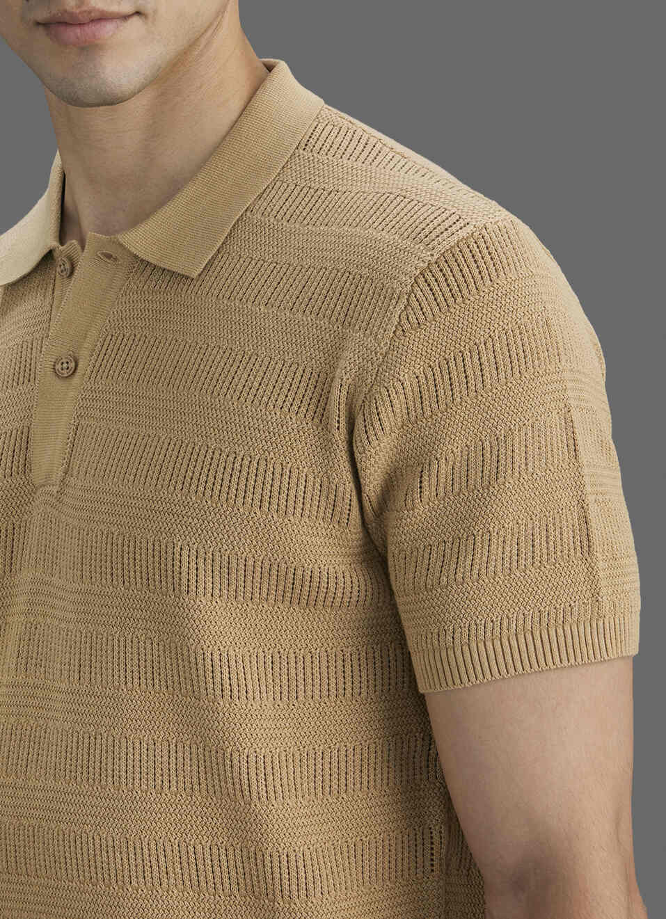 Men Beige Striped Flat Knit Polo Collar T-shirt, , large image number 1