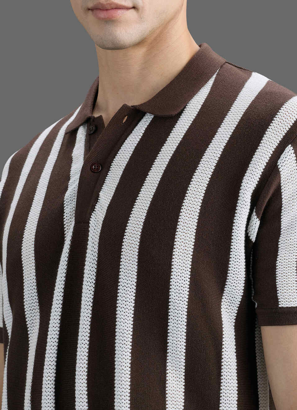 Men Brown Striped Flat Knit Polo Collar T-shirt, , large image number 1