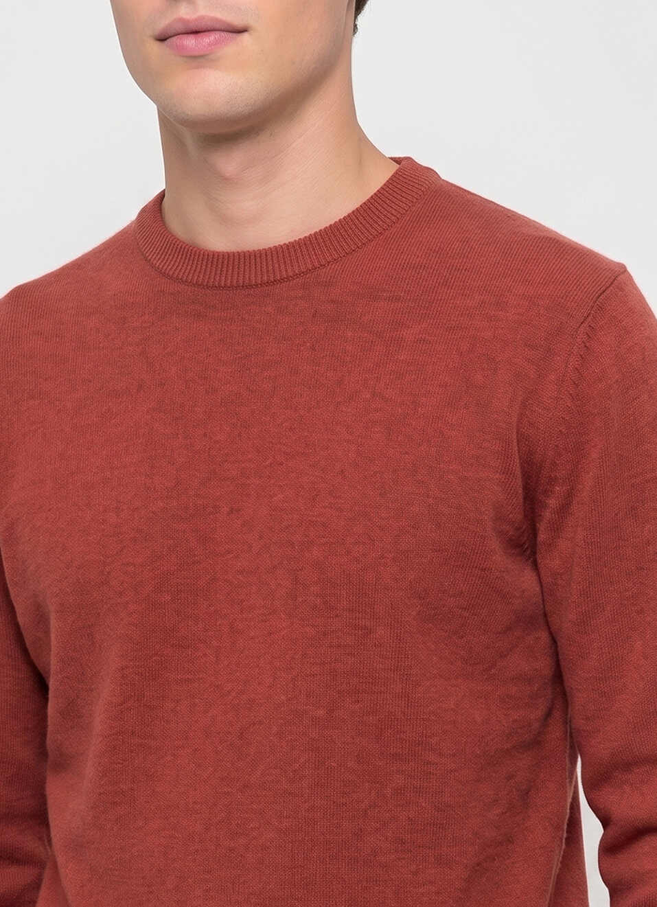 Men Orange Solid Regular Fit Crew Neck Sweater, , large image number 4