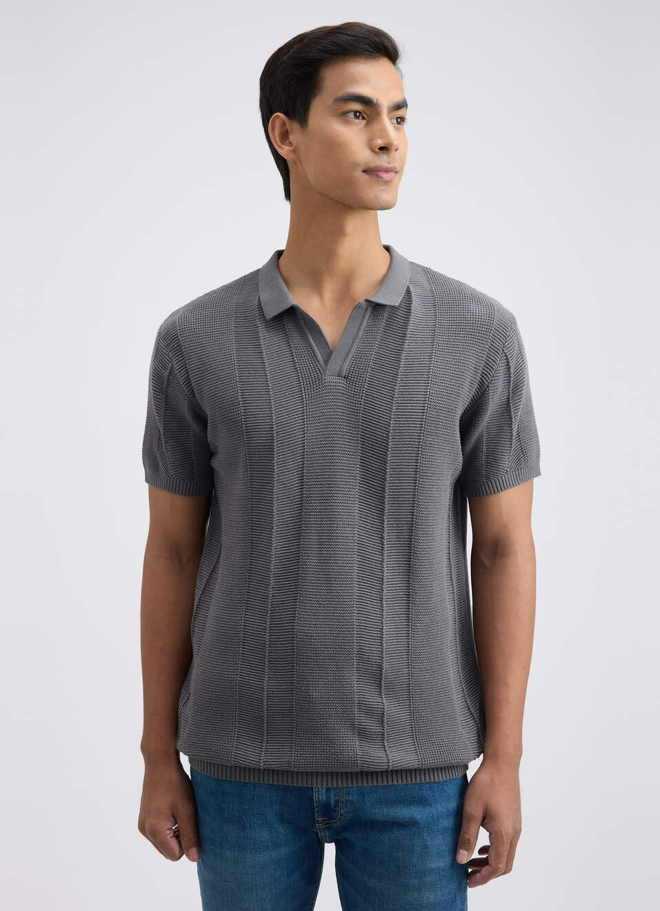 Men Grey Johnny Neck Short Sleeve Flat Knit Polo, , large image number 1