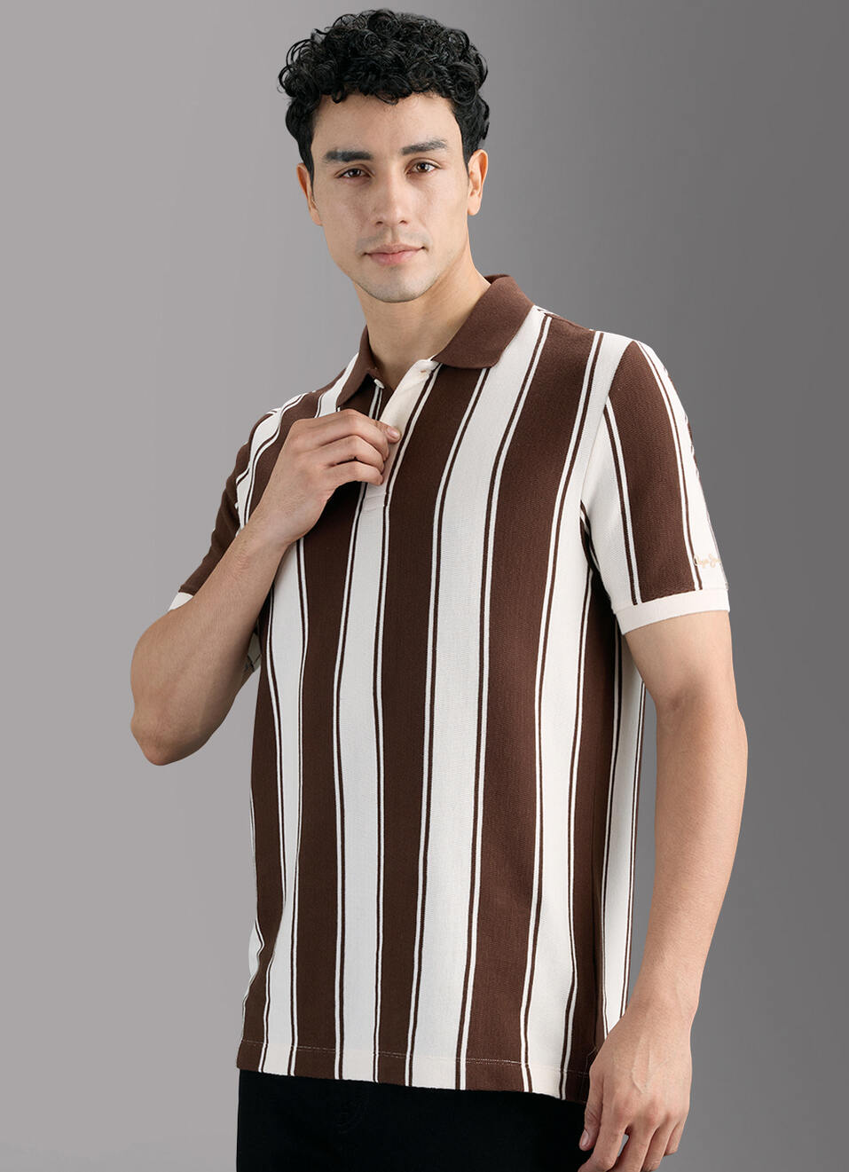 Men Brown Striped Polo T-shirt, , large image number 5