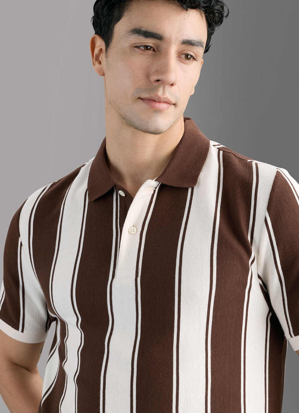 Men Brown Striped Polo T-shirt, , large image number 4