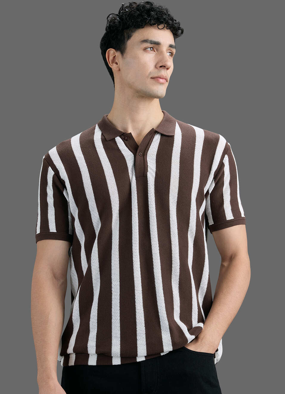 Men Brown Striped Flat Knit Polo Collar T-shirt, , large image number 5