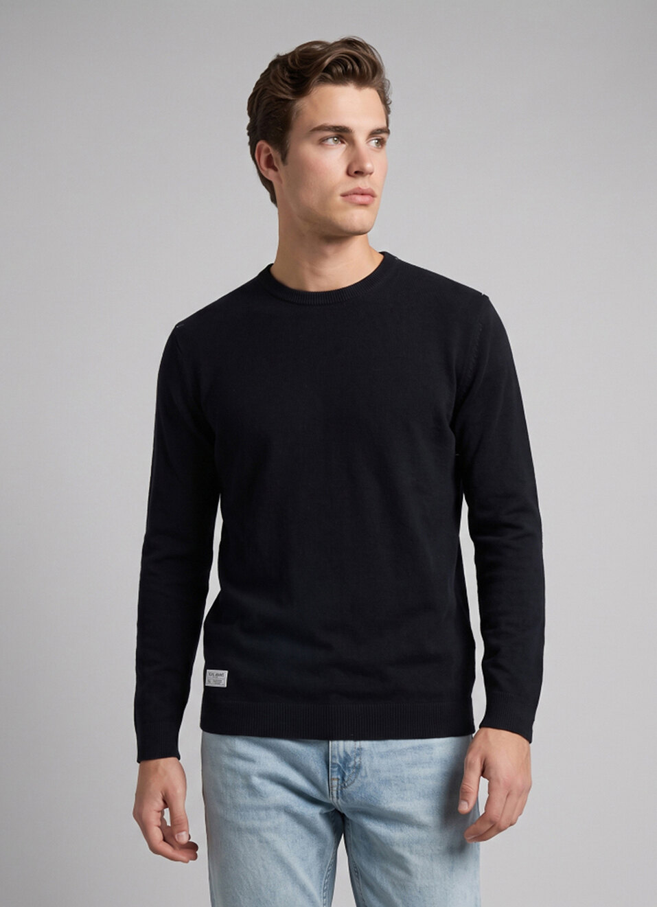 Men Black Solid Regular Fit Crew Neck Sweater, , large image number 1